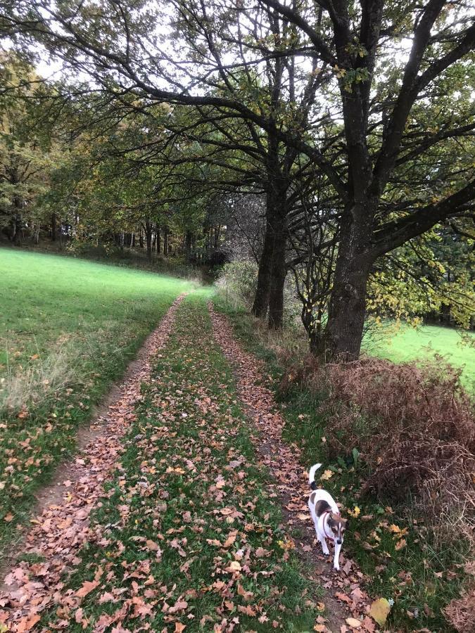 Alfie'S Home Malmedy Luaran gambar